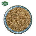 Kitchen spices black cumin seed export price